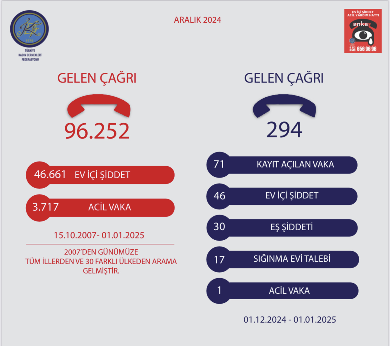 TKDF'nin Ev İçi Yardım Hattı Raporu: Aralık 2024'te toplam 294 çağrı alındı, en fazla aramayı 'eş şiddeti' oluşturdu