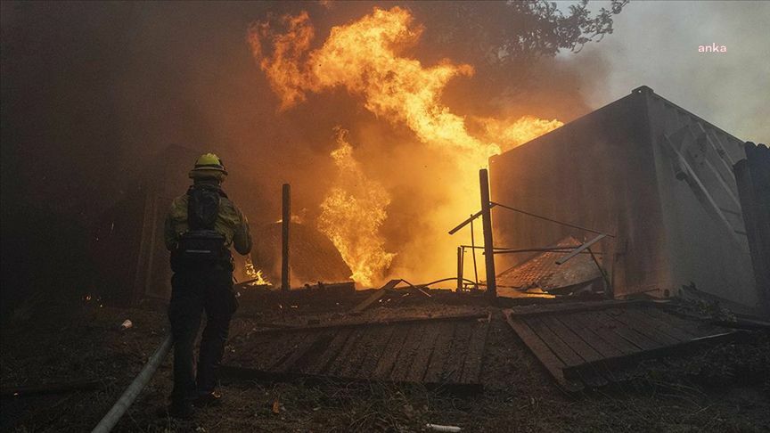 Los Angeles orman yangınlarında 11 kişi hayatını kaybetti