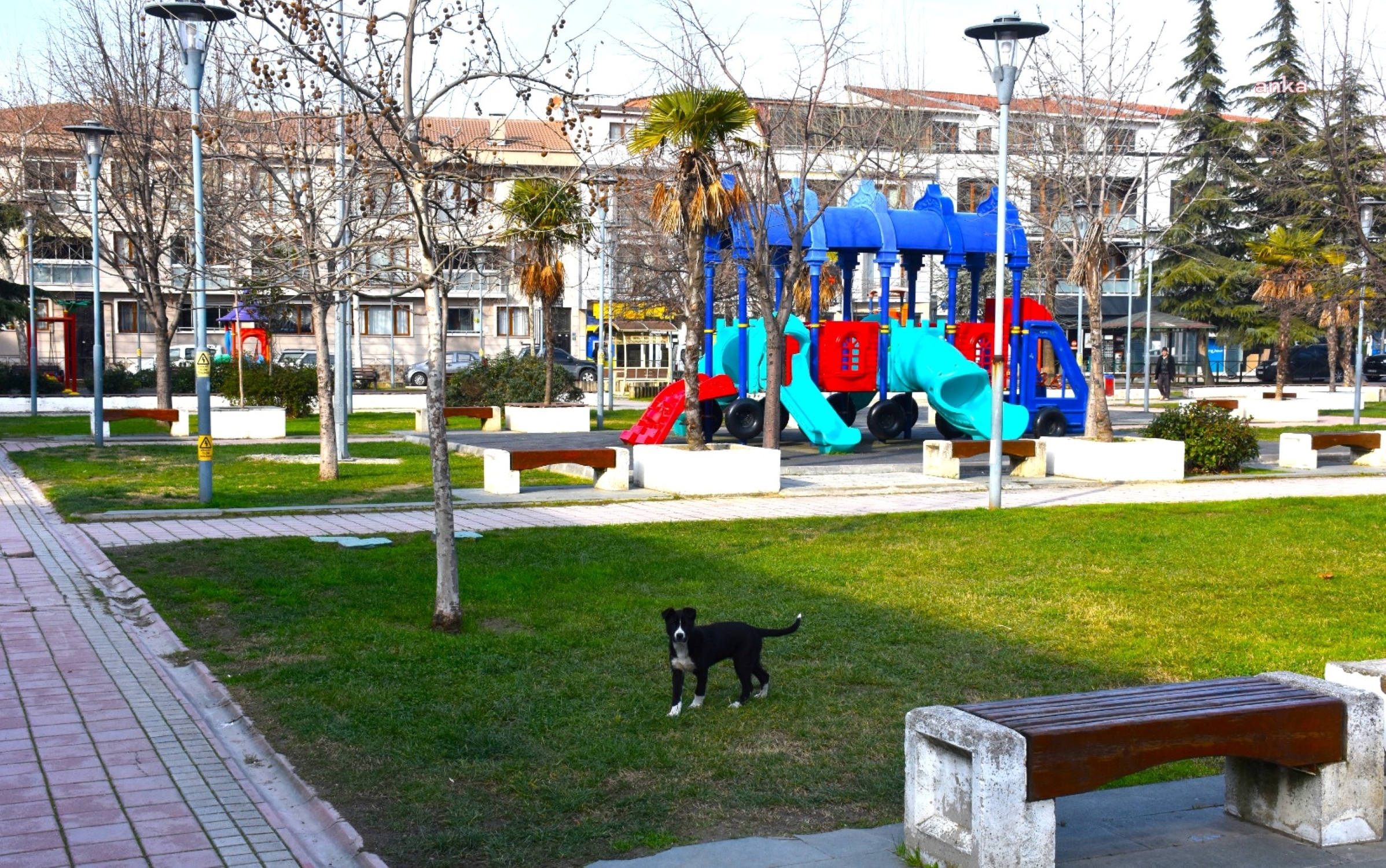 Gemlik Belediyesi, çevre düzenleme ve bakım çalışmalarına devam ediyor