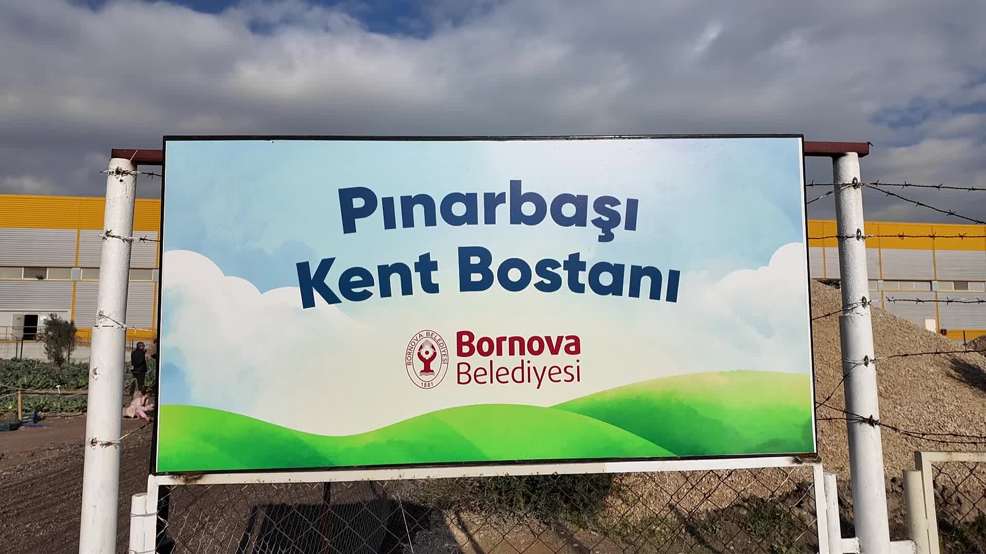 Bornova Belediyesi Kent Bostanı projesinin ilk hasadı gerçekleşti