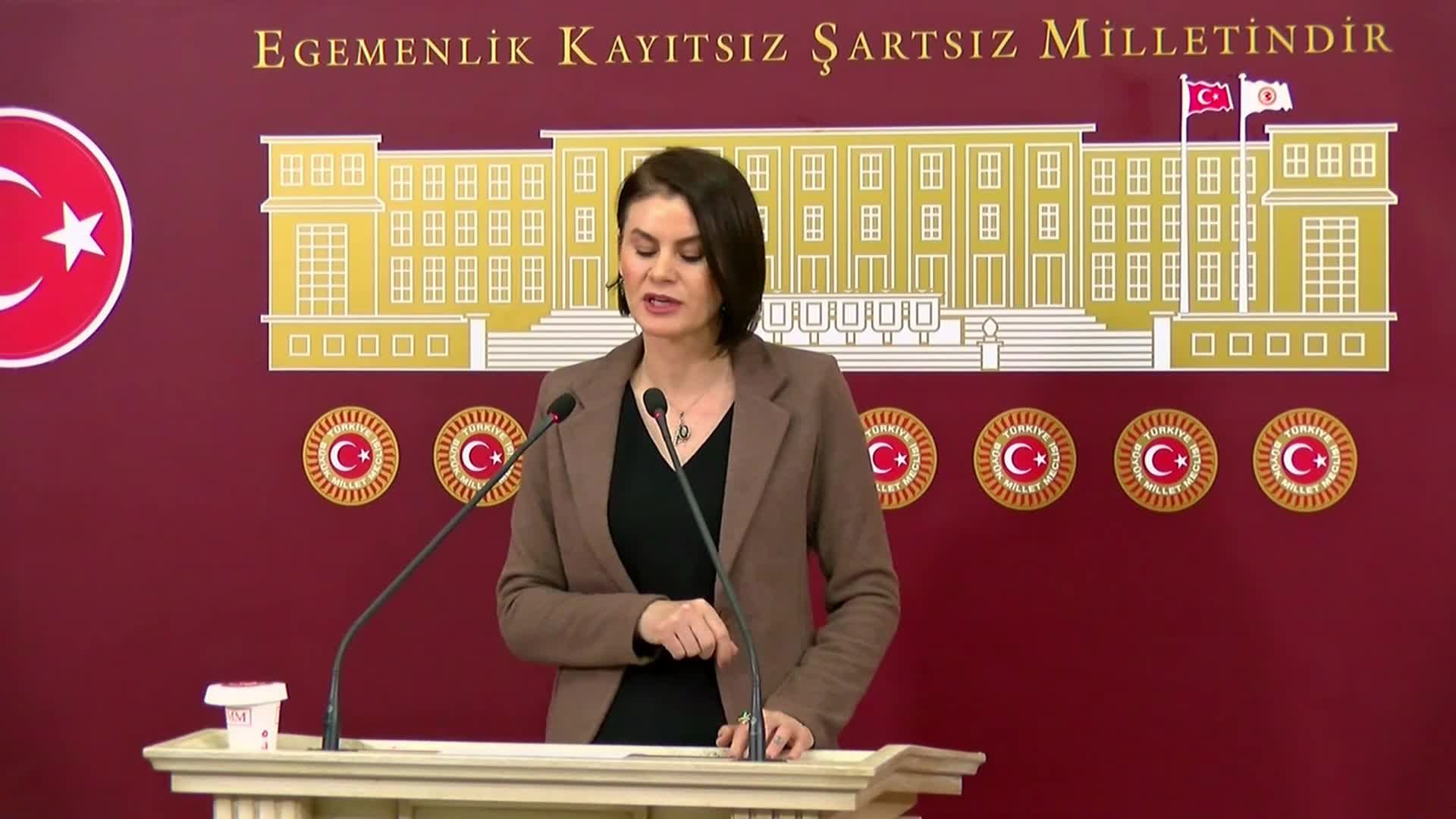  DEM Partili Sayyiğit: "Kayyumlarla Van’a en az yedi yıl kaybettiren bir iktidar gerçeğini biz Vanlılar olarak asla unutmayacağız"