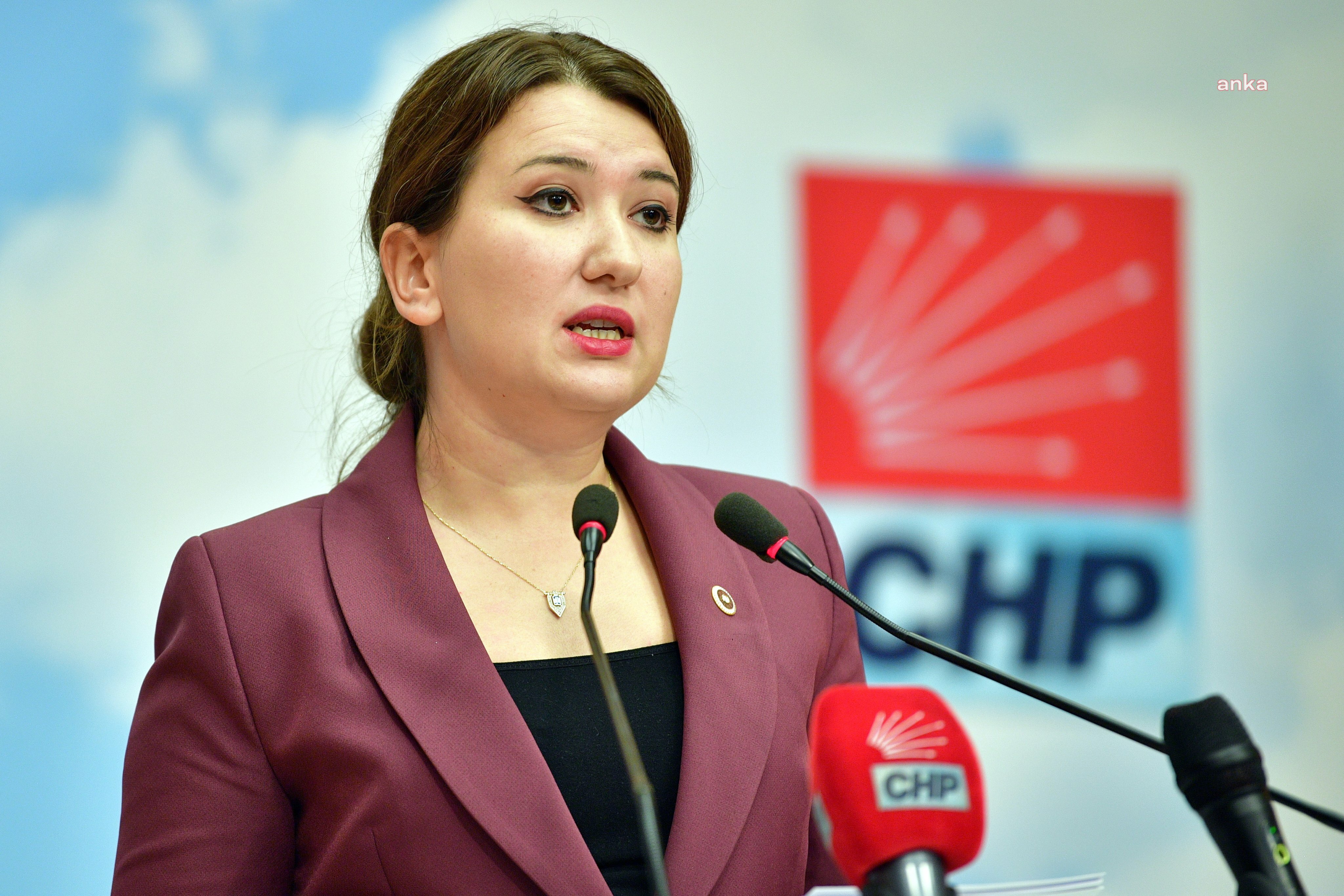 CHP'li Gökçen'den "Narin Güran" kararına ilişkin açıklama: ""Narin Güran cinayetinden bugüne geçen süreç daha kötü yönetilemezdi"