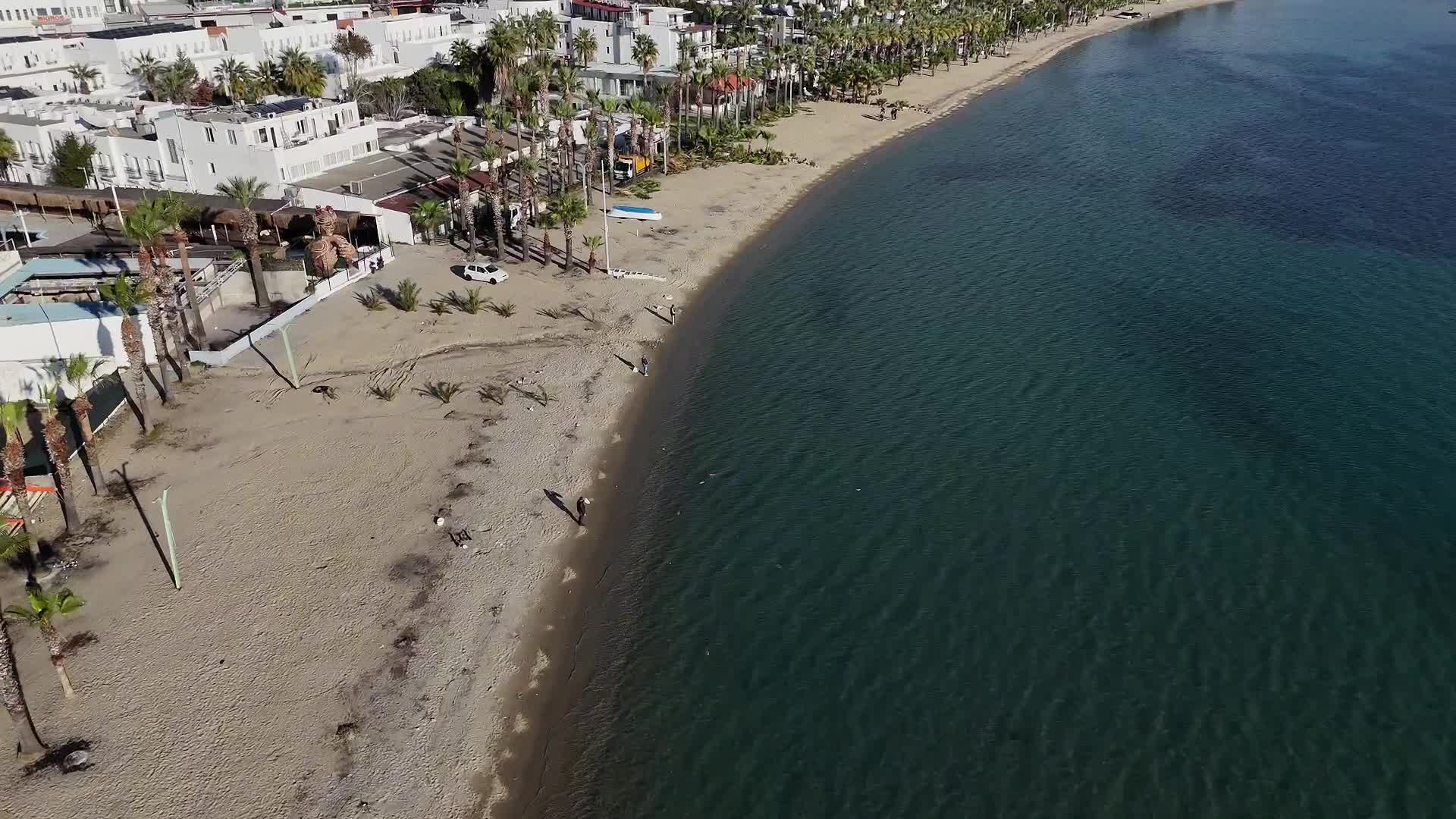 Bodrum Belediyesi'nden ilçe genelinde palmiye budama çalışması