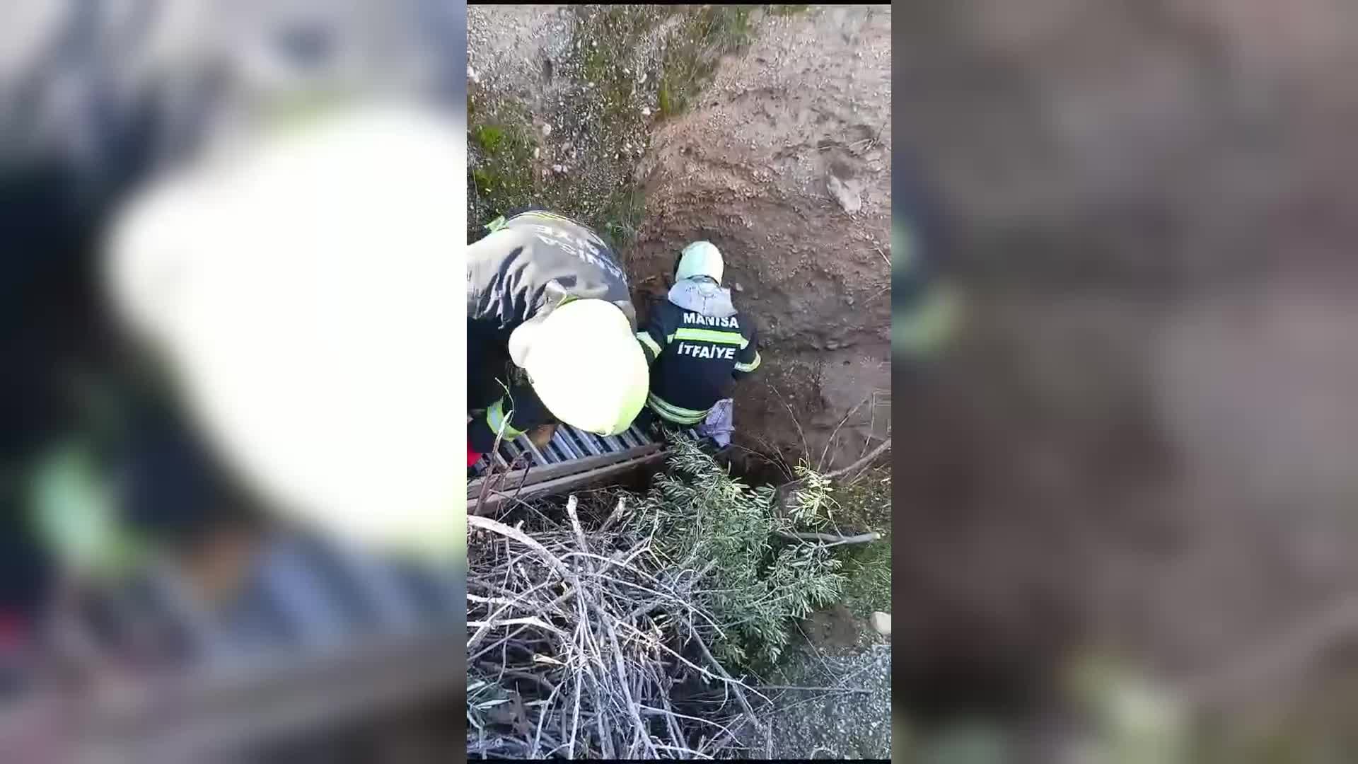 Nesli tükenmekte olan 'Oklu Kirpiler', Turgutlu Belediye ve Manisa Büyükşehir Belediye ekipleri tarafından kurtarıldı 