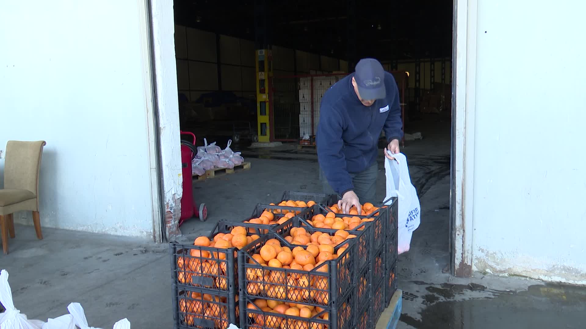 İzmir'de 5 ton mandalina örnek iş birliği ile dağıtılıyor