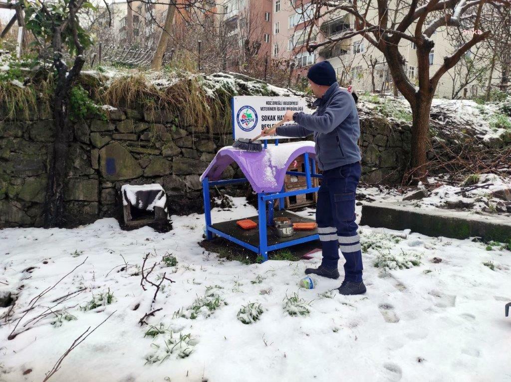 Karadeniz Ereğli Belediyesi, soğuk havada sokaktaki canları unutmadı