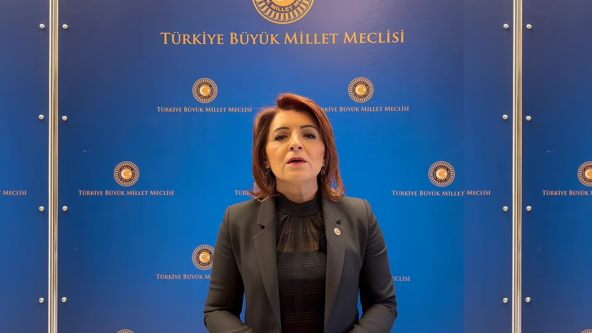 CHP'li Gülcan Kış, "Bakanlar, bürokratlar hesap vermiyor ama adalet isteyenler yargılanıyor"