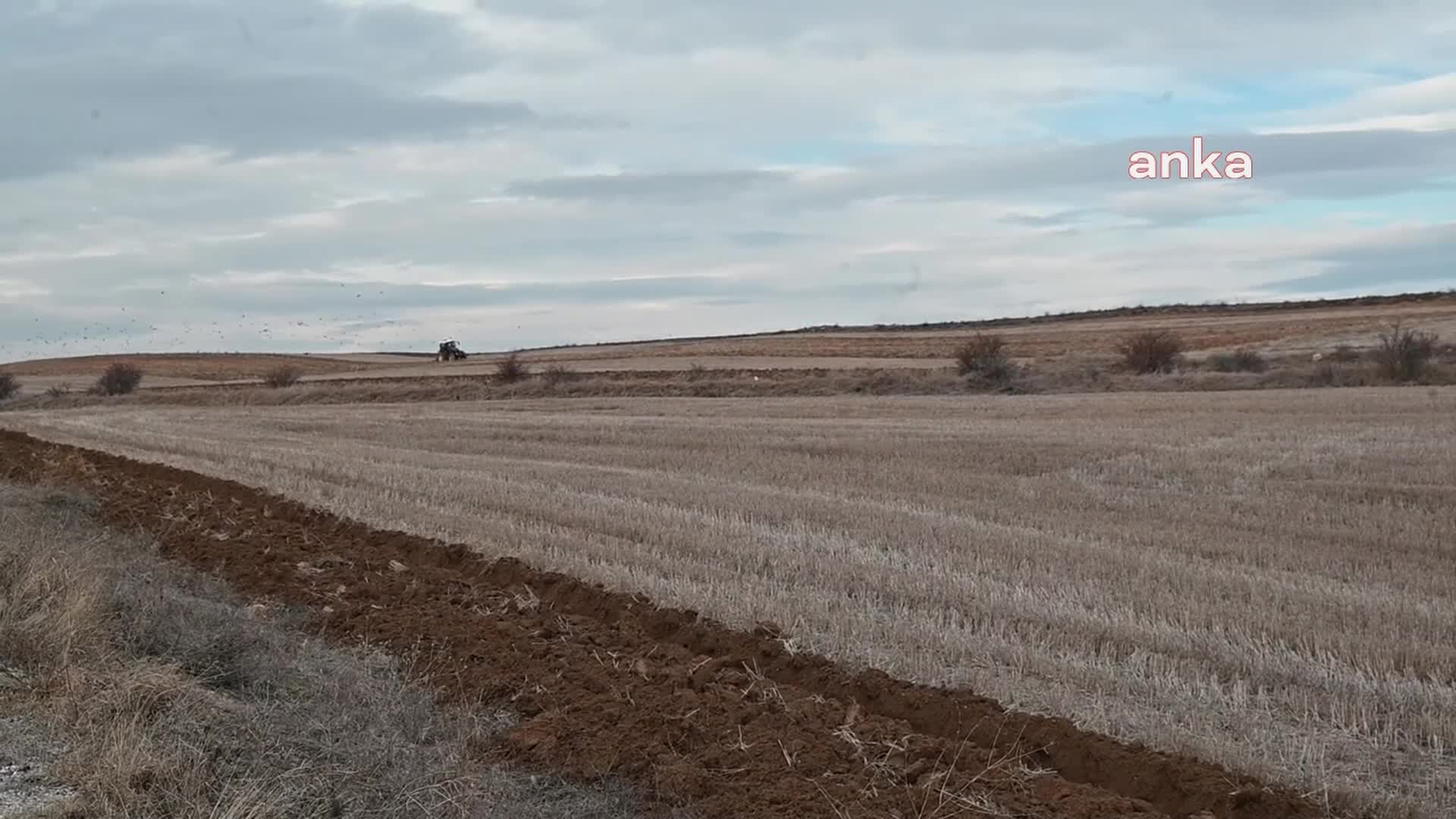 Yozgat’ta kuraklık çiftçiyi endişelendirmeye başladı: "Bu sene güz yağmurlarımız oldu, fakat kış olmuyor"