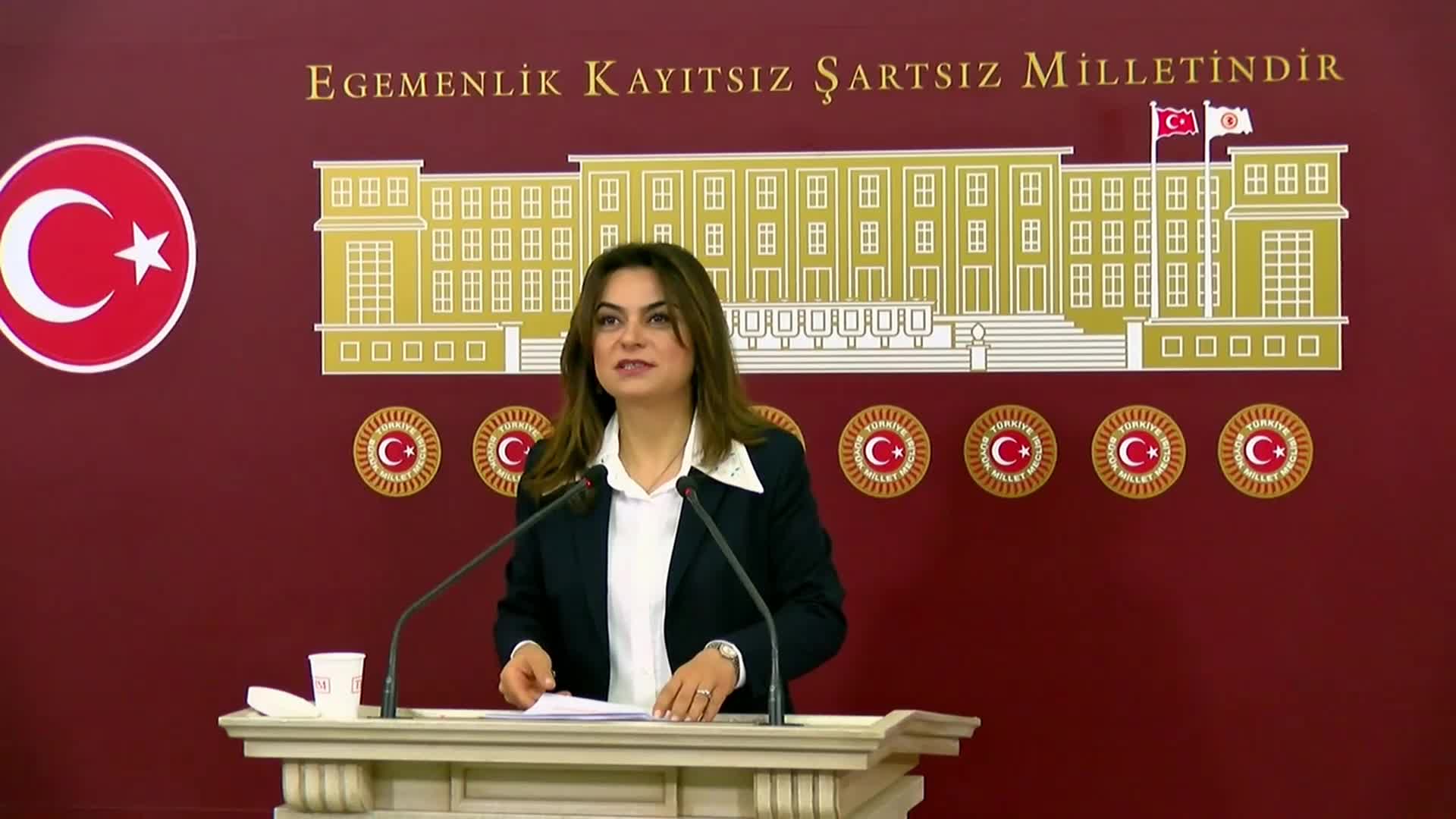 DEM Parti Grup Başkanvekili Koçyiğit: “Yasal çerçeve için Meclis inisiyatif geliştirmeli, sorumluluk üstlenmeli"