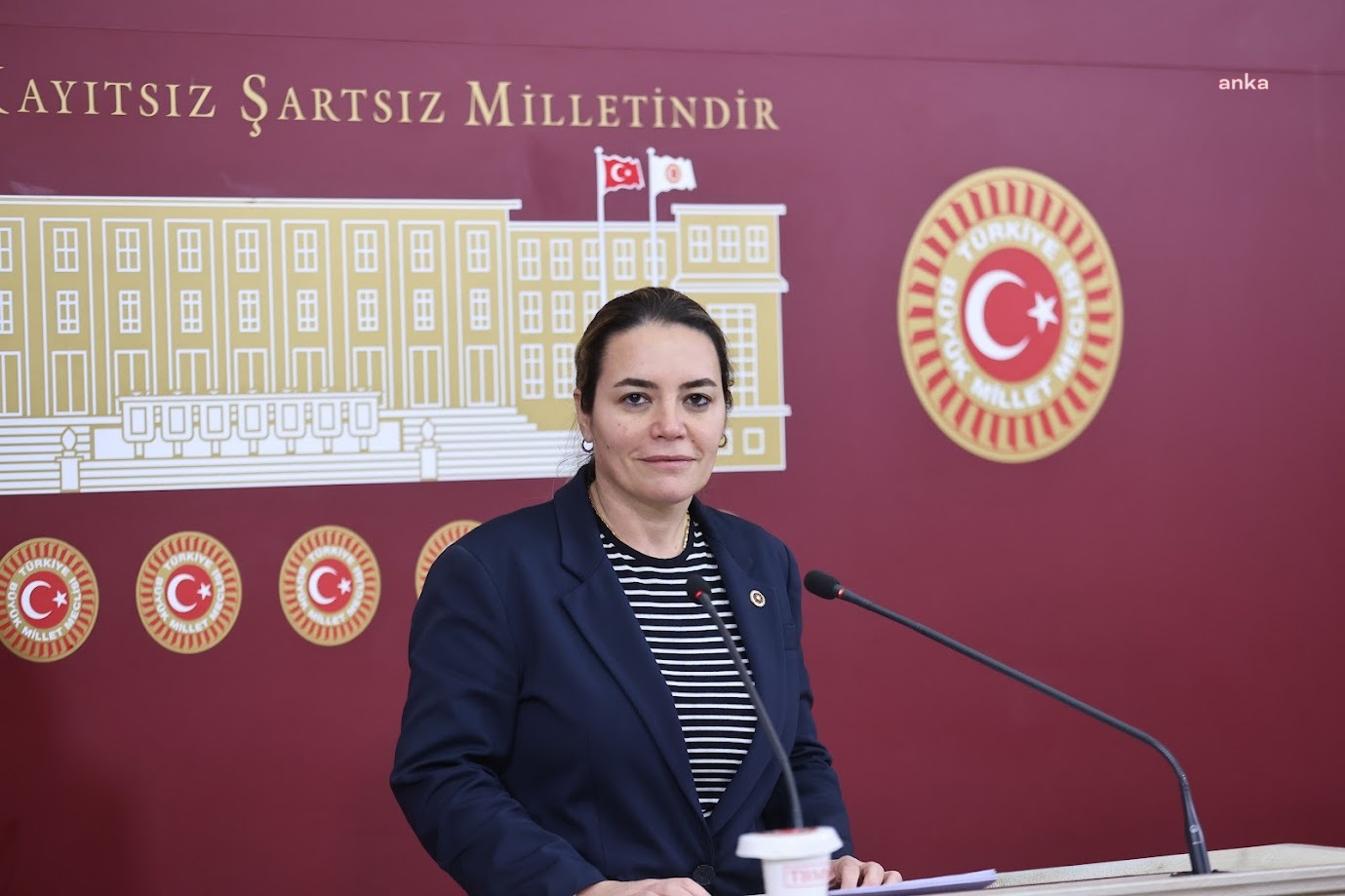 Ayyüce Türkeş'ten 'İmralı' değerlendirmesi: "Cumhuriyet'i tehdit eden meseleleri gündeme taşıyıp, bunlara hizmet etmeyi doğru bulmuyorum"