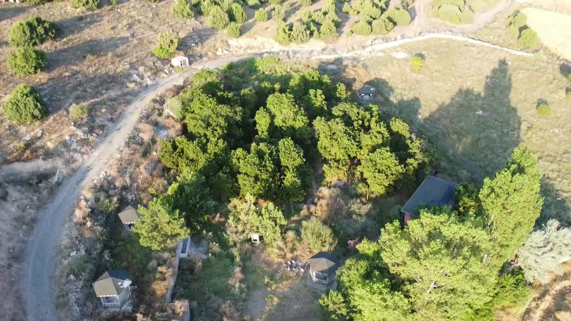 Yozgat’ta yaşları 3 ila 7 asır arasında değişen ve her yıl meyve veren dut ağaçlarının, koruma altına alınması isteniyor