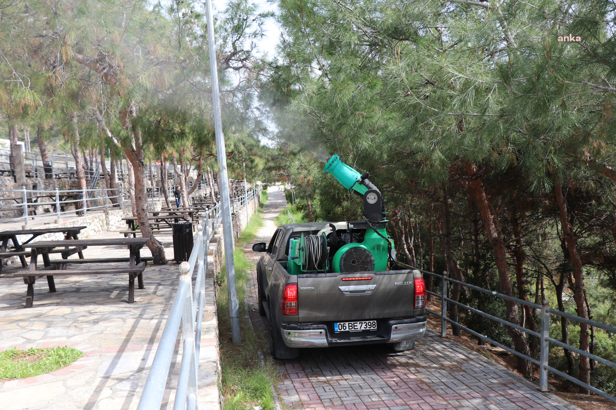 Alanya Belediyesi'nden çam kese böceğine karşı ilaçlama çalışması