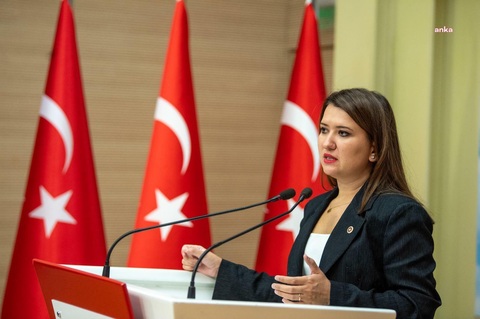 Gökçe Gökçen'den Ayşe Barım'ın gözaltına alınmasına tepki: "Bu mantıkla herkesin özgürlüğü tehlikededir. Hepimiz Gezi’deydik"